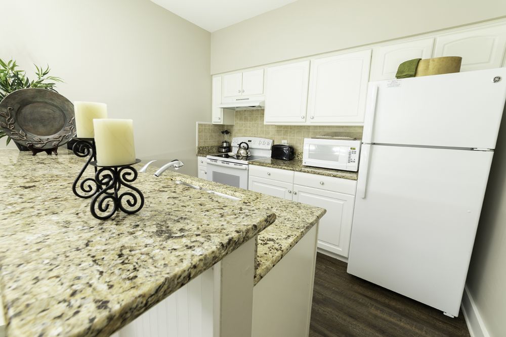 Modern Kitchen